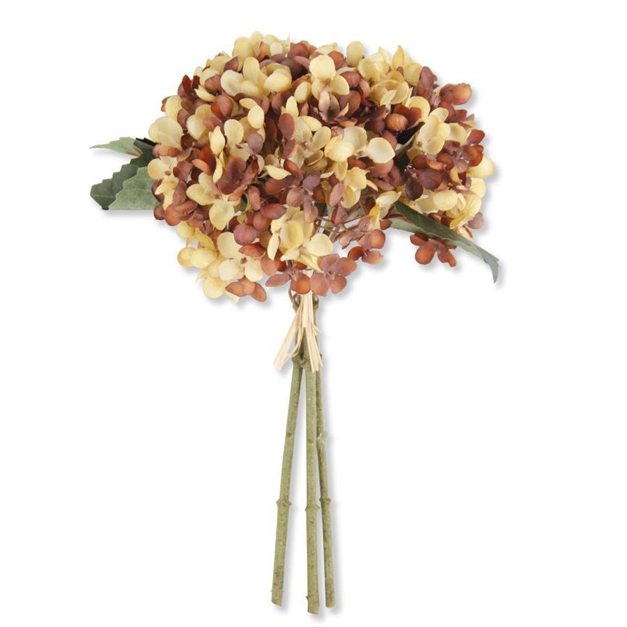Yellow & Brown Hydrangea