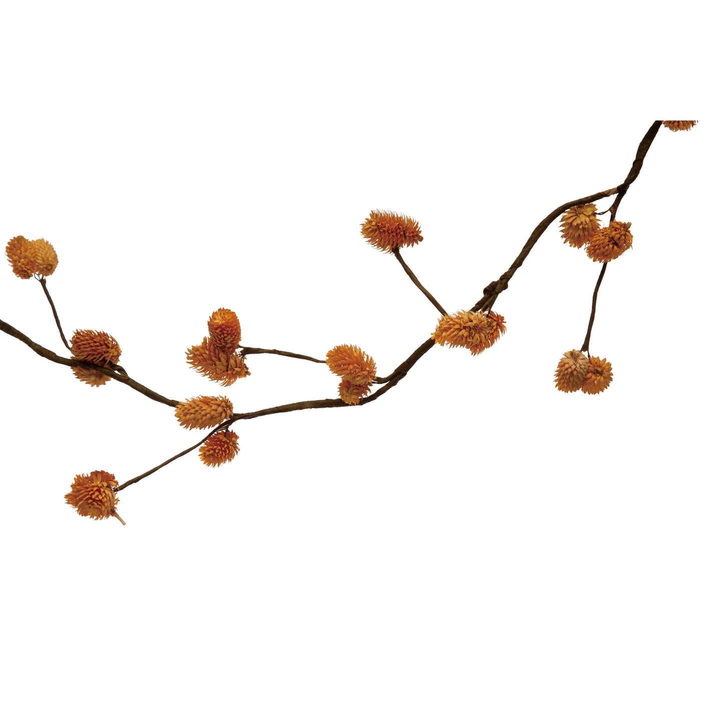 72 inch Dried Globe Thistle Garland