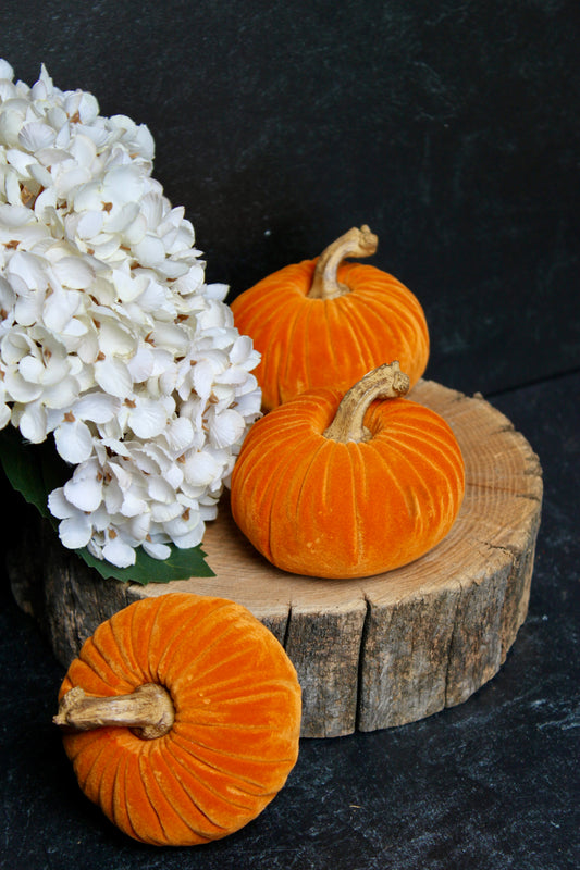 Orange Velvet Pumpkin