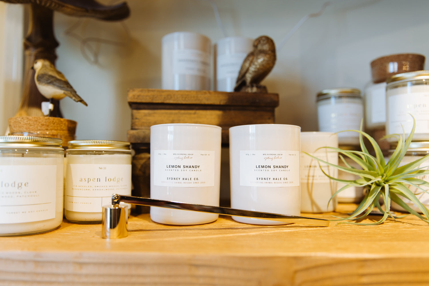Home Fragrance
