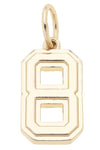 Shiny Gold Number Charm