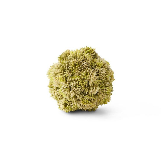 Artificial sedum ball from FloraCraft in light green and ivory.