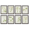 Leafy Botanical Framed Print