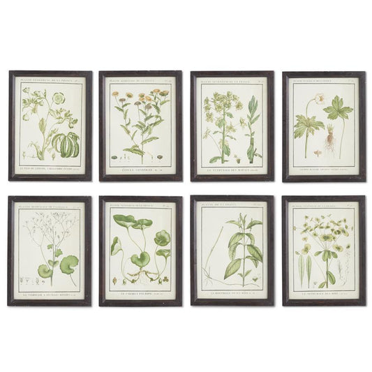 Leafy Botanical Framed Print
