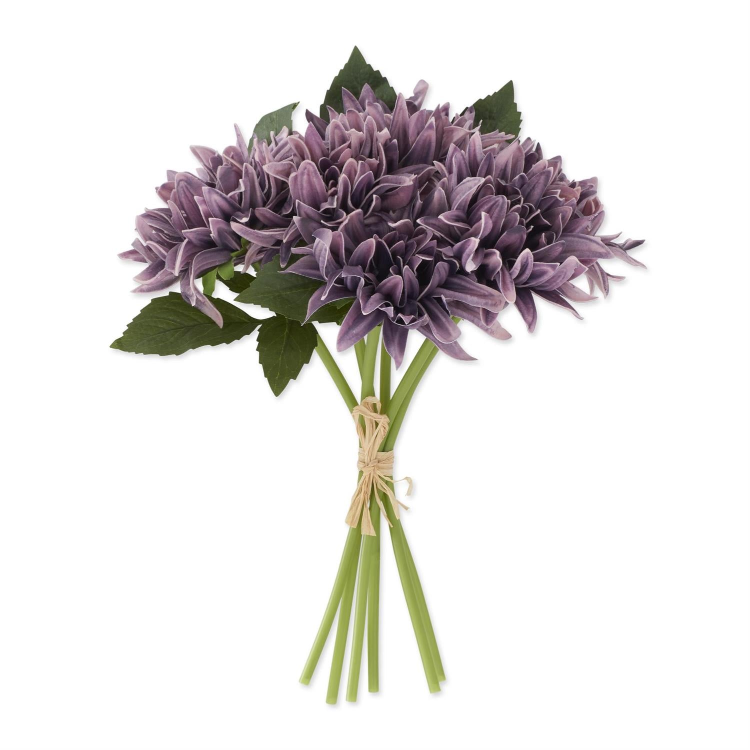 Bouquet of purple flowers with green stems on a white background