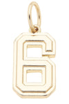 Shiny Gold Number Charm