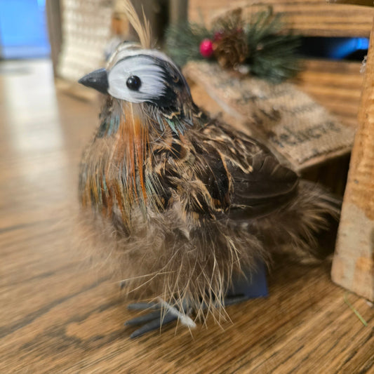 5" Feathered Quail