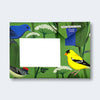 Carnival of Colour Pigeon Letter Pack