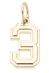 Shiny Gold Number Charm