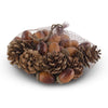 Bag of 30 Assorted Light Brown Acorns