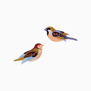 Sparrows