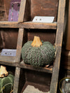 Bouclé/Velvet Pumpkin w/ Wood Stem (Small)
