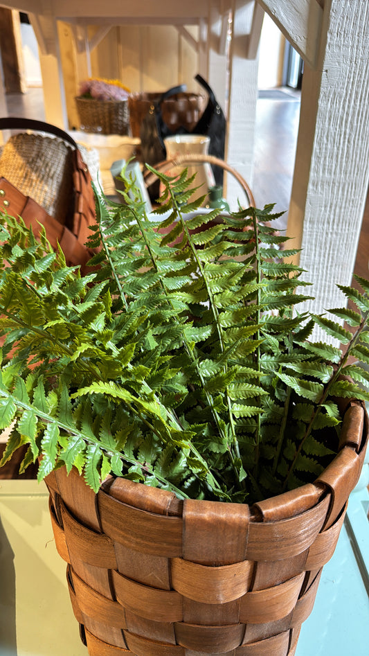 24" Fern Spray