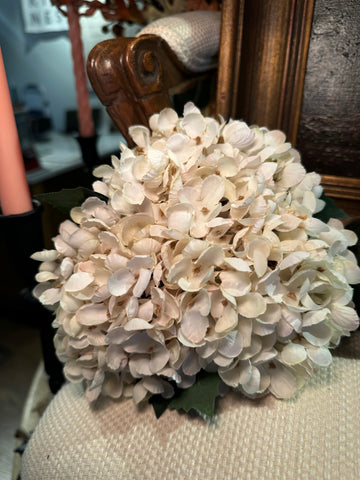 13" Cream Two Tone Hydrangea Bundle