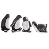 Baby Penguin Cuties