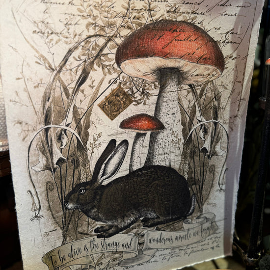 Paper print home decor featuring a rabbit and mushrooms with botanical sketches, embellished with script.