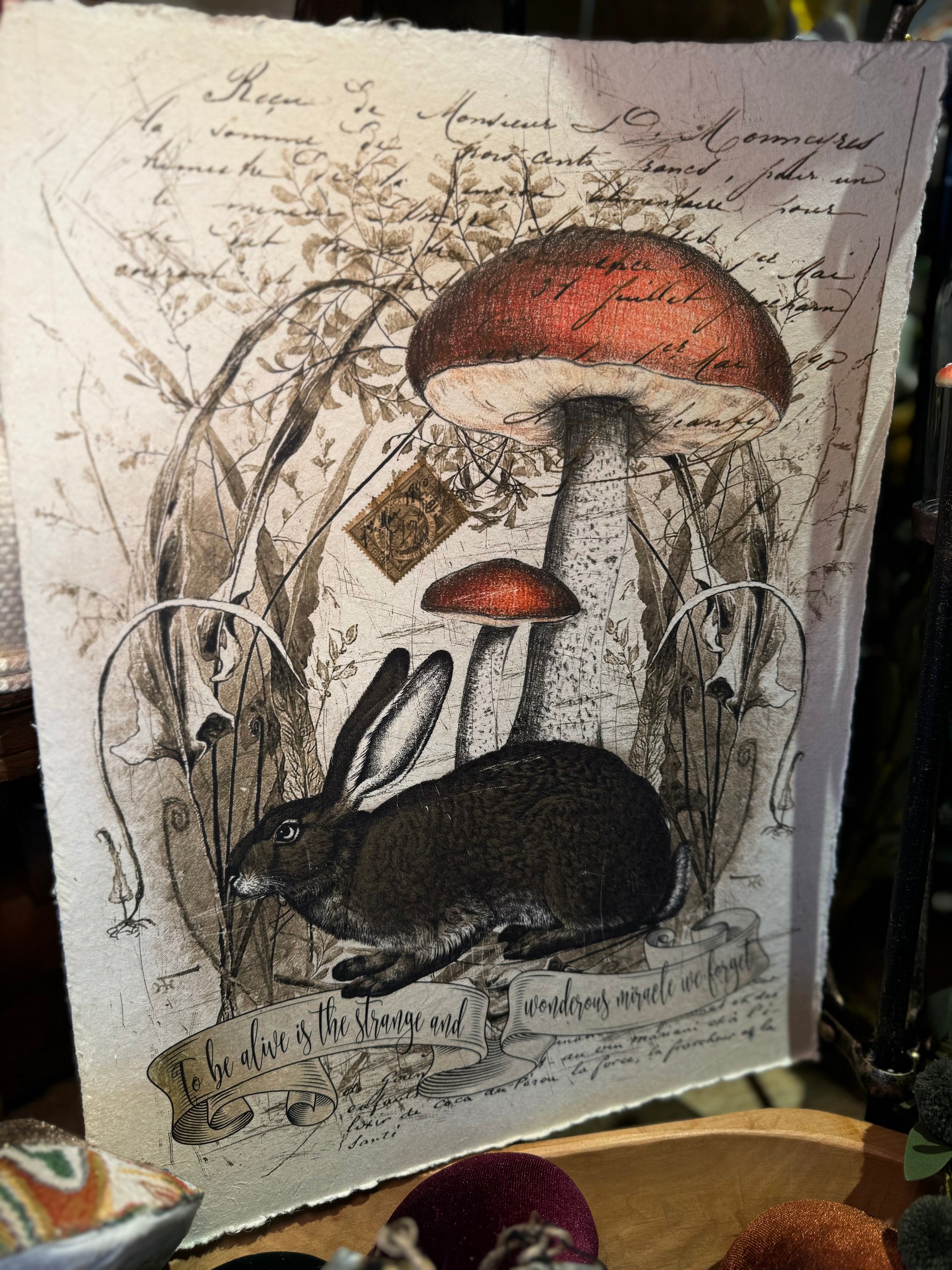 Paper print home decor featuring a rabbit and mushrooms with botanical sketches, embellished with script.