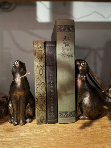 Bunny Bookends (Set of 2)