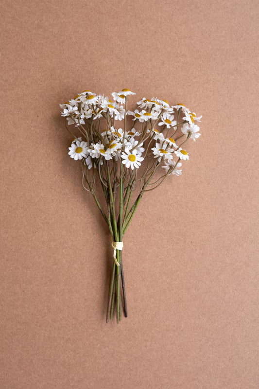 Chamomile Bundle (6 Stems)