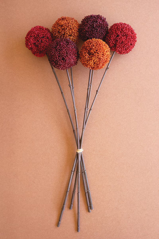 Allium Ball Stems