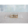 5" Square Metal & Glass Box, Brass Finish