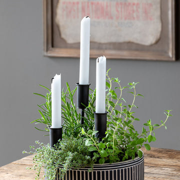 Garden Taper Holder Stakes, Set of 3