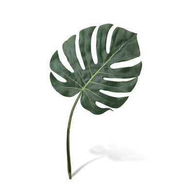 Monstera Leaf Small (LOCAL PICKUP)