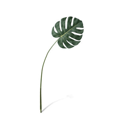 Monstera Leaf Medium (LOCAL PICKUP)