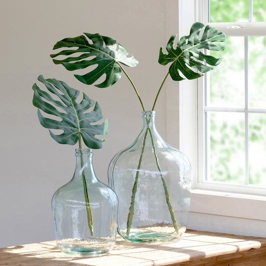 Monstera Leaf Small (LOCAL PICKUP)