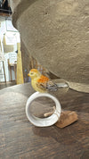 Stoneware napkin ring with bird by Creative Co-op, featuring a glazed finish and decorative jute string.