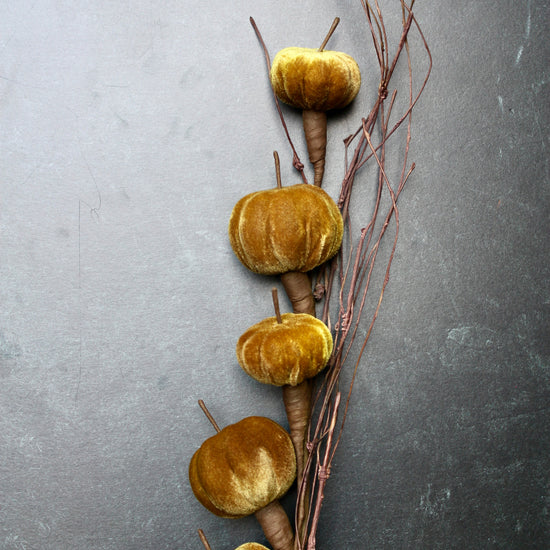 Velvet pumpkin stem by Valerie Stevens with brown decorative branches on a dark textured surface.