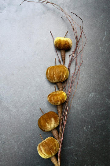 Velvet pumpkin stem by Valerie Stevens with brown decorative branches on a dark textured surface.