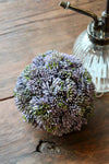 4" Seedum Ball
