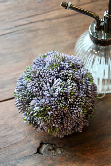 4" Seedum Ball