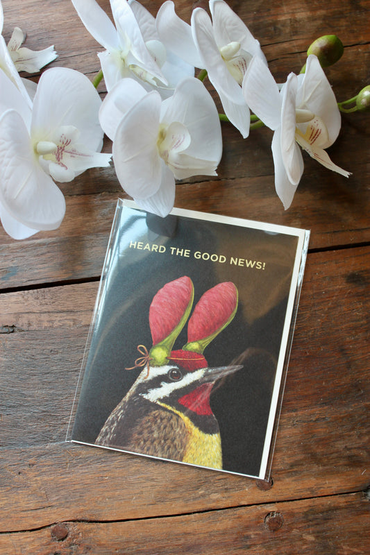 Good News Sapsucker Card