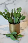 11" Green Cactus Pick