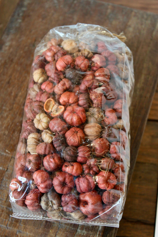 Dried Natural Pumpkin Pods in Bag