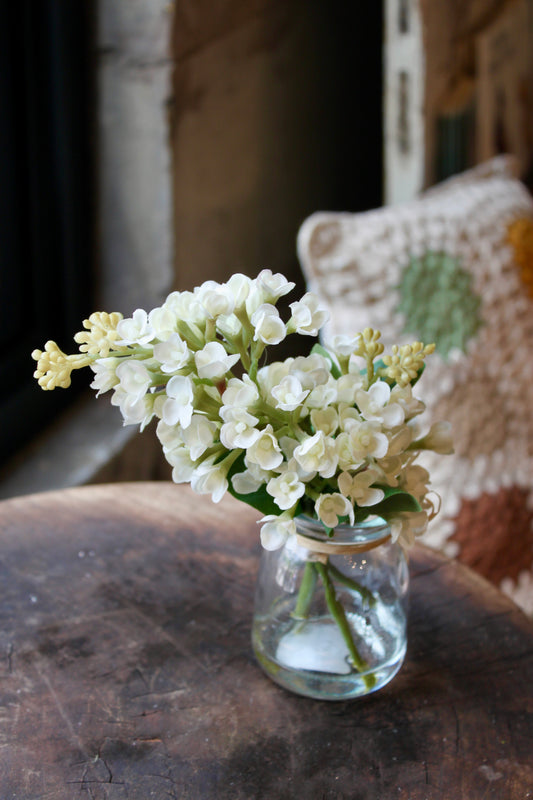 White Lilac in Glass Vase