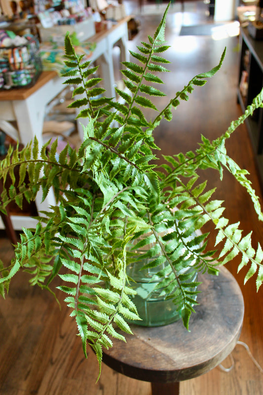 24" Fern Spray
