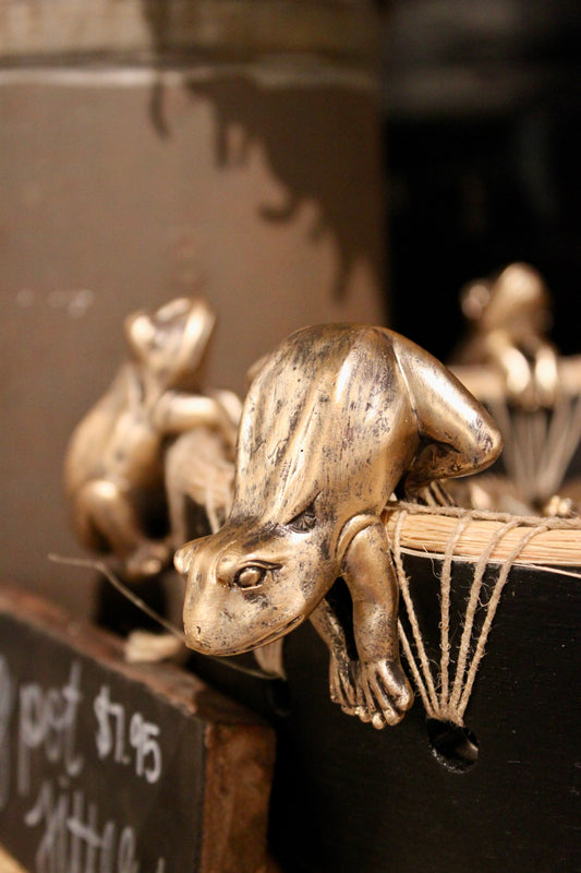 Assorted Resin Frog Pot Hanger
