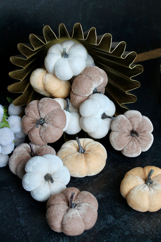 Velvet Filler Pumpkins