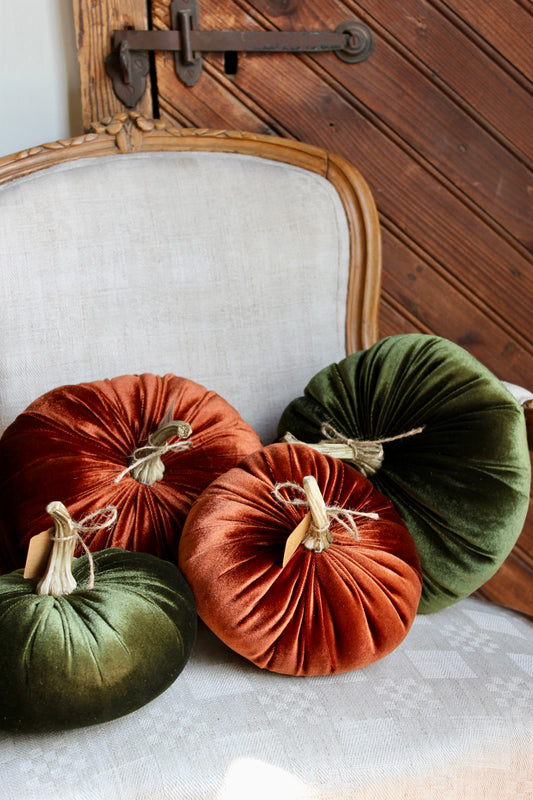 Velvet Pumpkin