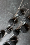Black velvet pumpkin stem with twig accents.