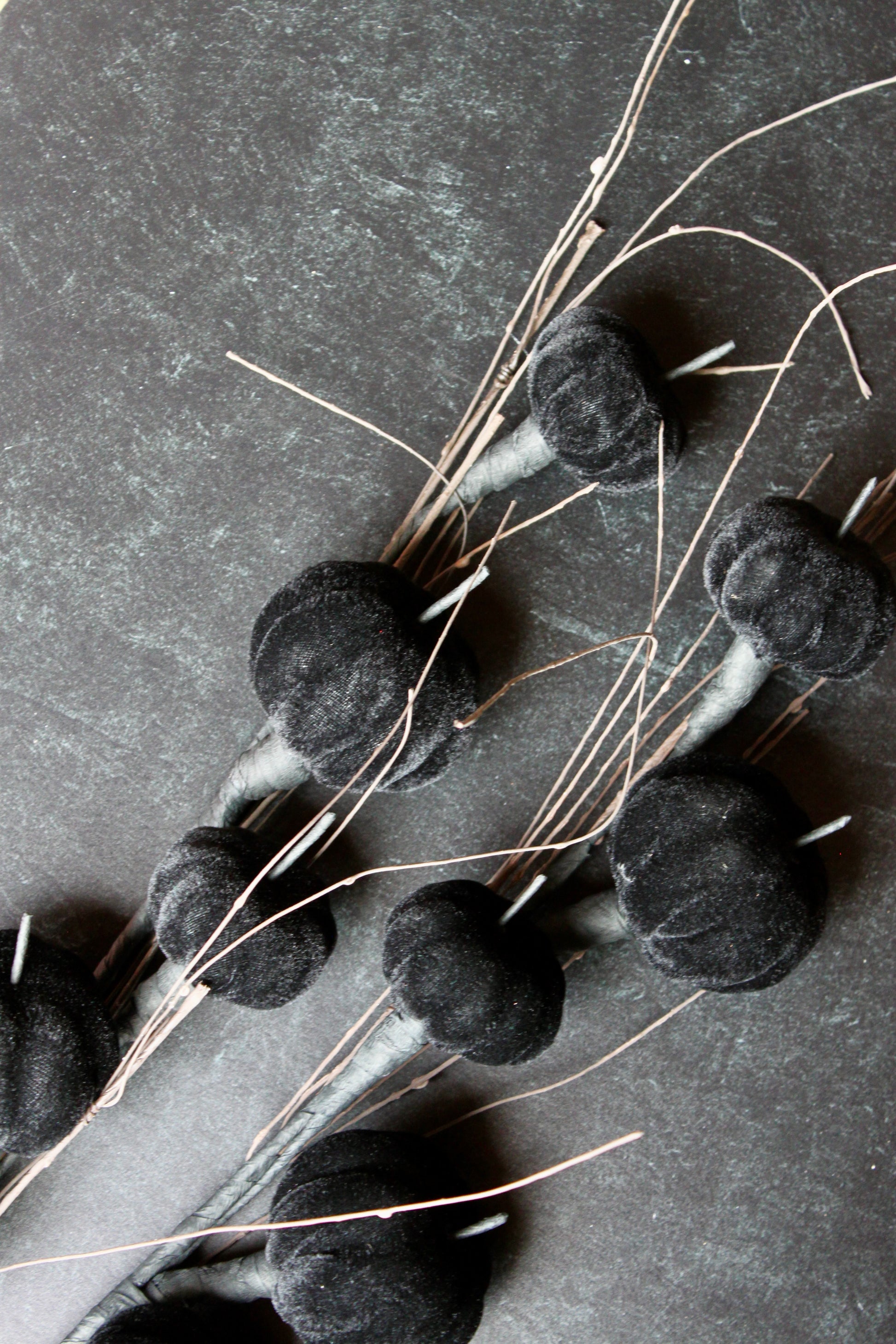 Black velvet pumpkin stem with twig accents.