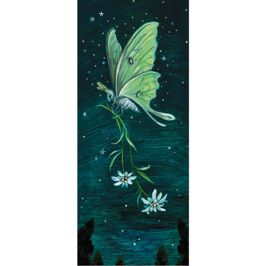 Stationery greeting card with a luna moth by an unknown artist, holding a flower stem against a starlit background.
