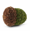 8.75" Green & Brown Shaved Wood Acorn