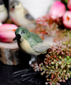 Bird with Metal Feet