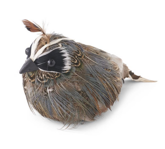 4" Feathered Quail