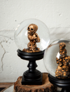 Set of 2 8.5 Inch Halloween Skull Snow Globes
