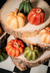 Fall Colored Mini Pumpkins